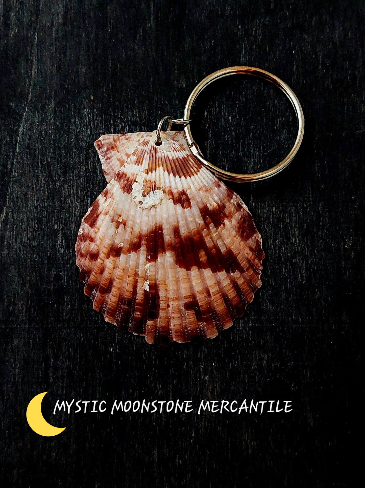 SCALLOP SHELL KEYCHAINS