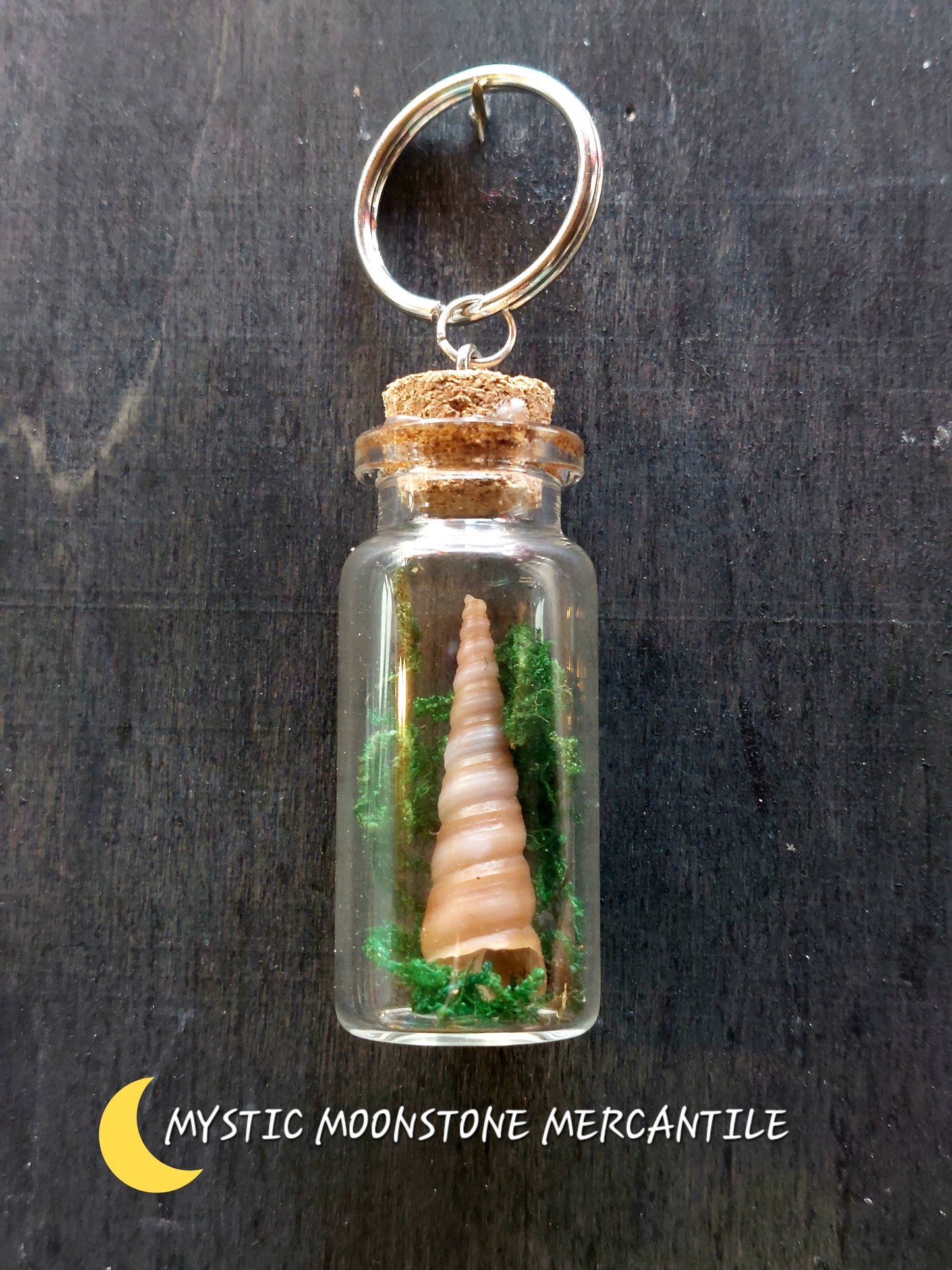 "UNICORN HORN" SEASHELL WITH MOSS SPELL BOTTLE.